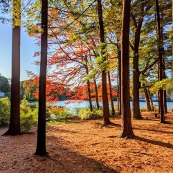 Island Grove Park - Abington