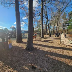 Pine Street Playground - Abington