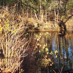 Pine Street Playground - Abington