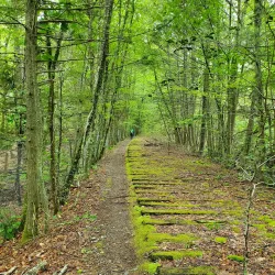 Wampatuck State Park - Abington