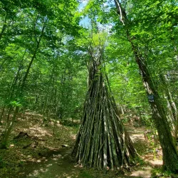 Wampatuck State Park - Abington