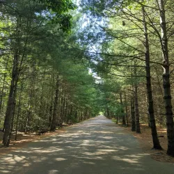 Wampatuck State Park - Abington