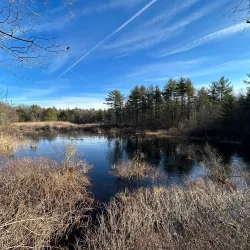 Wampatuck State Park - Abington