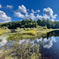 Wampatuck State Park - Abington