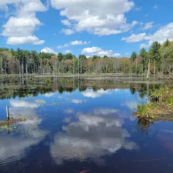 Assabet River National Wildlife Refuge - Acton