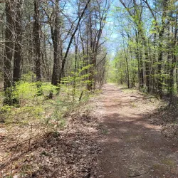 Assabet River National Wildlife Refuge - Acton