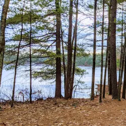 Assabet River National Wildlife Refuge - Acton