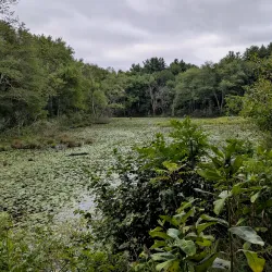 Bruce Freeman Rail Trail - Acton