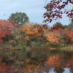 Bruce Freeman Rail Trail - Acton