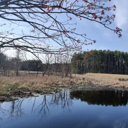 Bruce Freeman Rail Trail - Acton