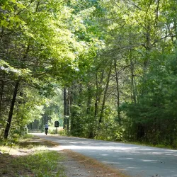 Bruce Freeman Rail Trail - Acton