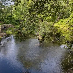 Bruce Freeman Rail Trail - Acton