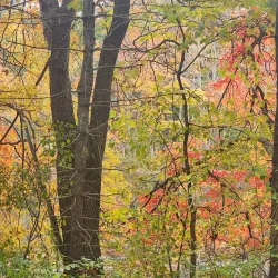 Bruce Freeman Rail Trail - Acton