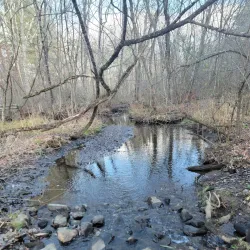 Great Hill Conservation Land - Acton