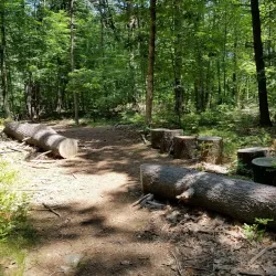 Great Hill Conservation Land - Acton