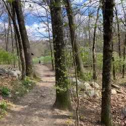 Great Hill Conservation Land - Acton