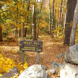 Great Hill Conservation Land - Acton