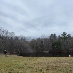 Great Hill Conservation Land - Acton