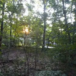 Great Hill Conservation Land - Acton