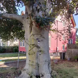 Allston Village - Allston