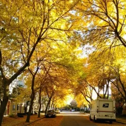 Allston Village - Allston