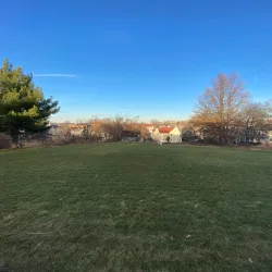 Ringer Park - Allston