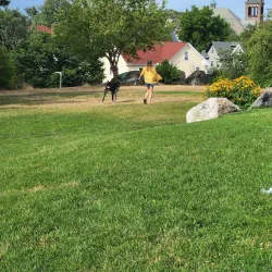 Ringer Park - Allston