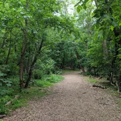 Ringer Park - Allston