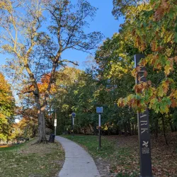 Ringer Park - Allston