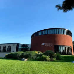 Ringer Park - Allston