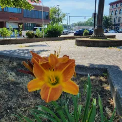 Union Square - Allston