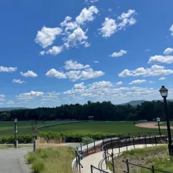 Amherst College - Amherst