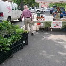 Amherst Farmers Market - Amherst