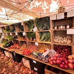 Amherst Farmers Market - Amherst