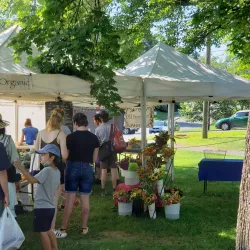 Amherst Farmers Market - Amherst