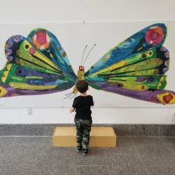 Eric Carle Museum of Picture Book Art - Amherst