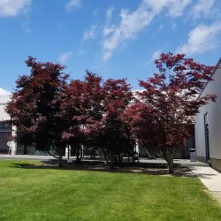 Eric Carle Museum of Picture Book Art - Amherst