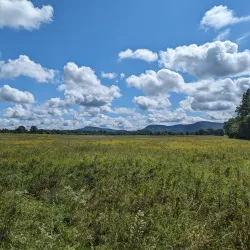 Fort River Trail - Amherst