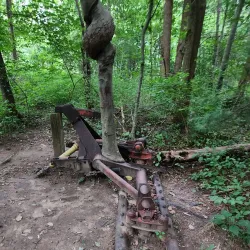 Fort River Trail - Amherst