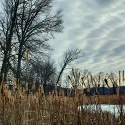 Fort River Trail - Amherst