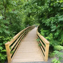 Fort River Trail - Amherst
