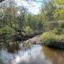Fort River Trail - Amherst