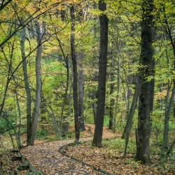 Fort River Trail - Amherst