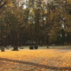 Wildwood Cemetery - Amherst