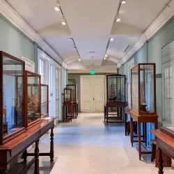 Addison Gallery of American Art - Andover