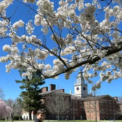 Andover Museum at the Samuel Phillips House - Andover