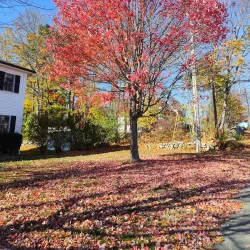 Andover Town Center - Andover