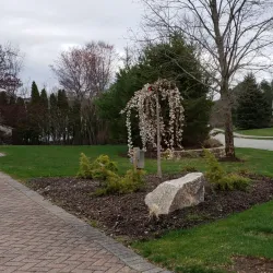 Andover Town Center - Andover