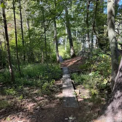 Harold Parker State Forest - Andover