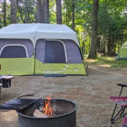 Harold Parker State Forest - Andover